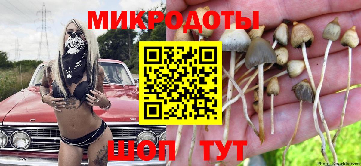 Галлюциногенные грибы Psilocybe  Вход с VPN  Новоалтайск 