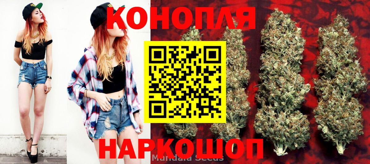 Канабис план Новоалтайск